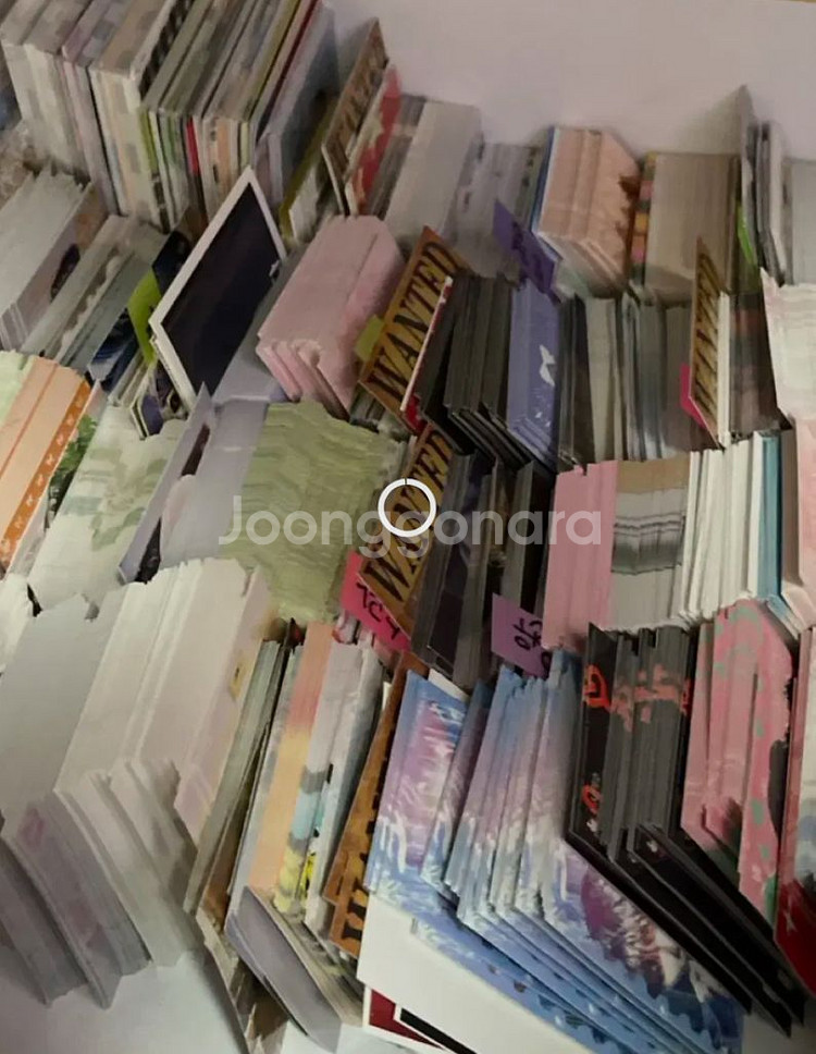 세븐틴 굿즈 처분 인형 10cm쿱피쿱꾸마 공굿비공굿배--1