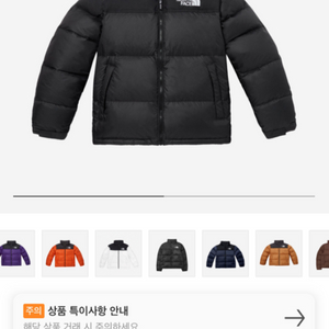 The North Face 1996 눕시 차콜