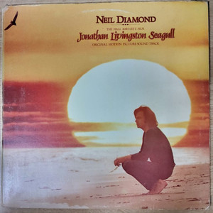 NEIL DIAMOND 음반 j (LP 턴테이블 오디오