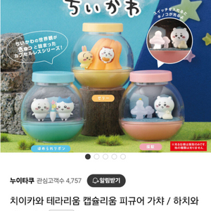 캡슐리움 치이카와