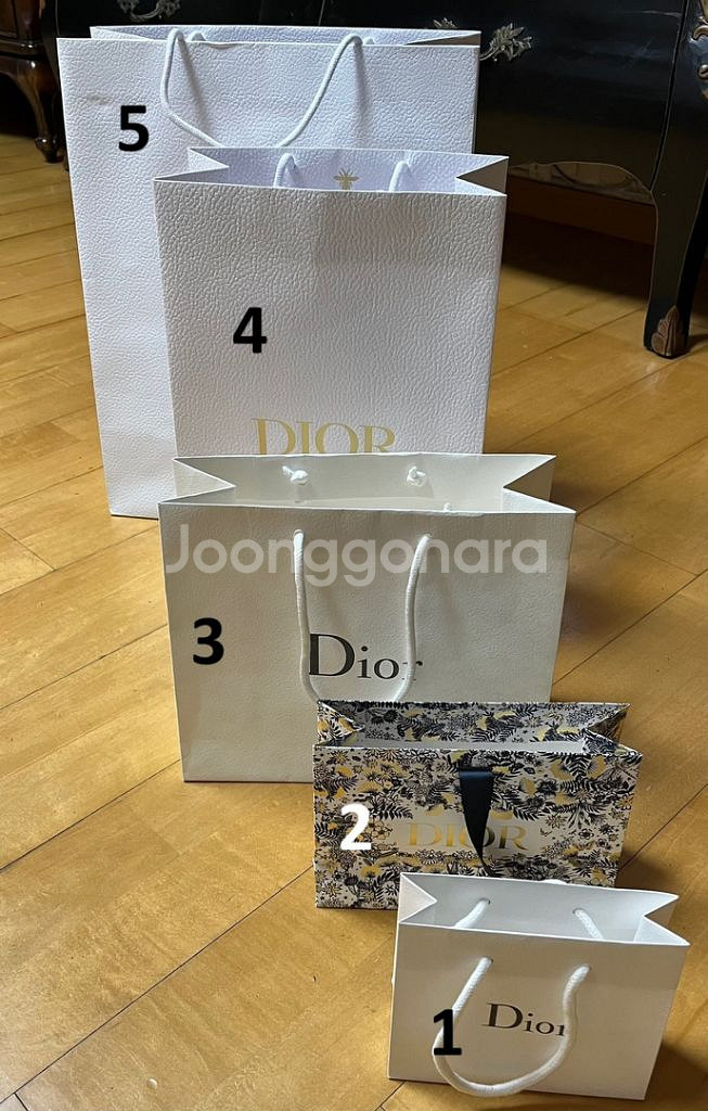 명품 쇼핑백 에르메스 샤넬 구찌 디올 펜디 지방시 등등--2
