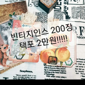 빈티지 인스 200장 반택포 2만