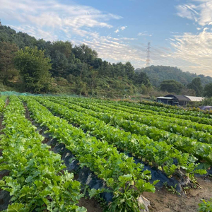 김장재료 아직 준비못하신분