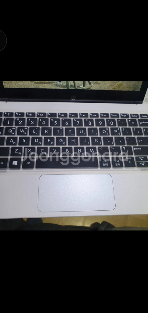 테블릿겸용 노트북 HP 파빌리온 x2 (10-n113--8