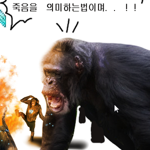 롤 RP충전식 1:6.5 비율로 구매희망합니다