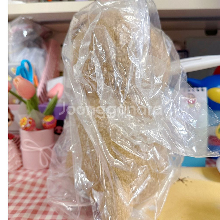 모후샌드 모프샌드 곰돌이 인형 25cm--2