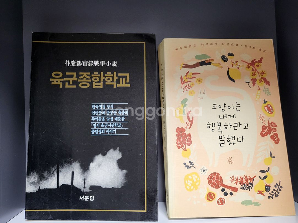여러가지 만화.소설책 등등 팝니다 절판.희귀다수--1