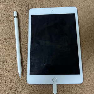 아이패드 미니 5세대 256GB wifi 와 애플펜슬