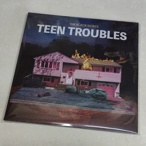 검정치마 teen troubles LP