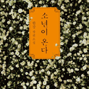 소년이온다