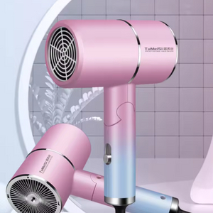 PRO HAIR DRYER ㆍ프로헤어 드라이어