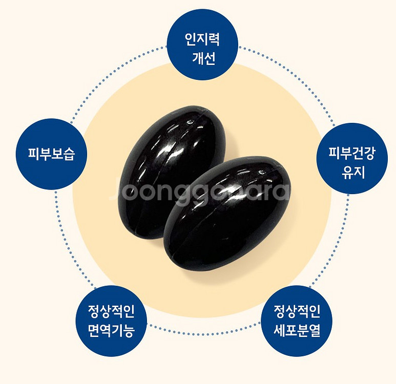 무료배송 브레인레스큐 60캡슐 기억력 인지력 향상--4