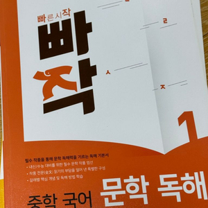 빠작 중학국어 문학 독해1 국어 문제집