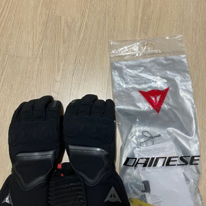 다이네즈 장갑 NEMBO GORE-TEX GLOVES