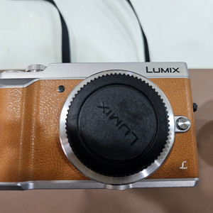 Panasonic DMC-GX85