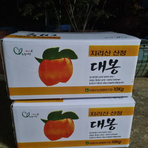 산청 대봉감(1박스 > 10kg 이상)