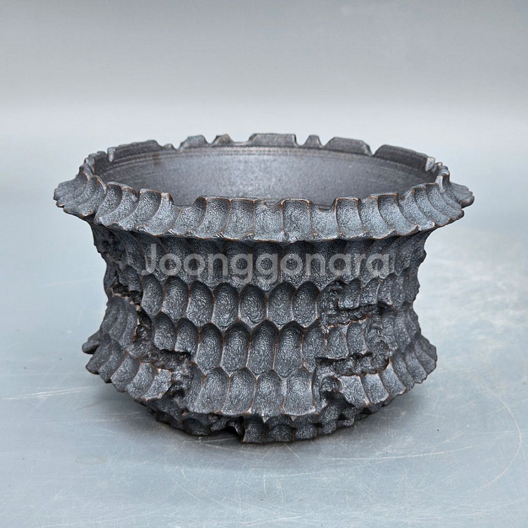 코덱스팟 S(아프리카식물 그락 괴근식물 선인장 화분)--2