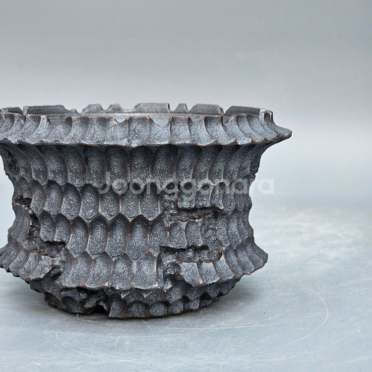 코덱스팟 S(아프리카식물 그락 괴근식물 선인장 화분)--3