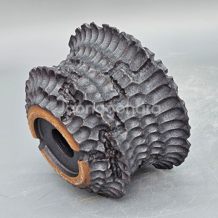 코덱스팟 S(아프리카식물 그락 괴근식물 선인장 화분)--4