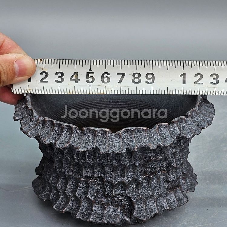 코덱스팟 S(아프리카식물 그락 괴근식물 선인장 화분)--7