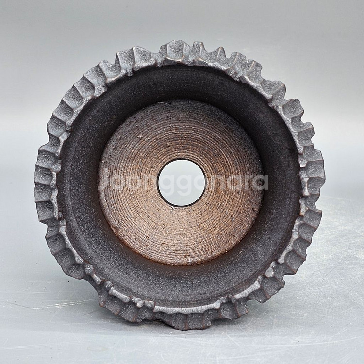 코덱스팟 S(아프리카식물 그락 괴근식물 선인장 화분)--5