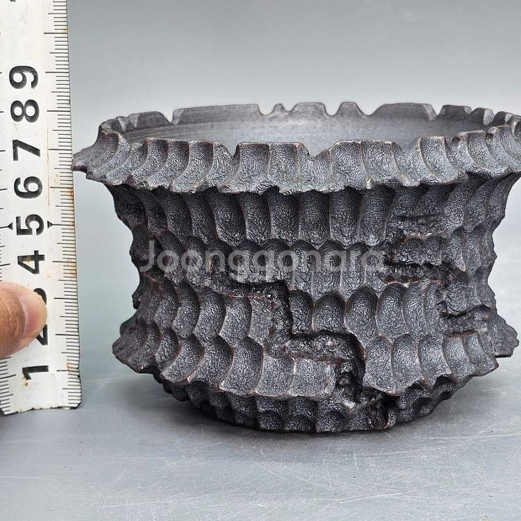 코덱스팟 S(아프리카식물 그락 괴근식물 선인장 화분)--9