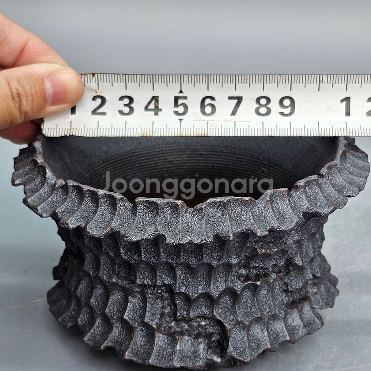 코덱스팟 S(아프리카식물 그락 괴근식물 선인장 화분)--8