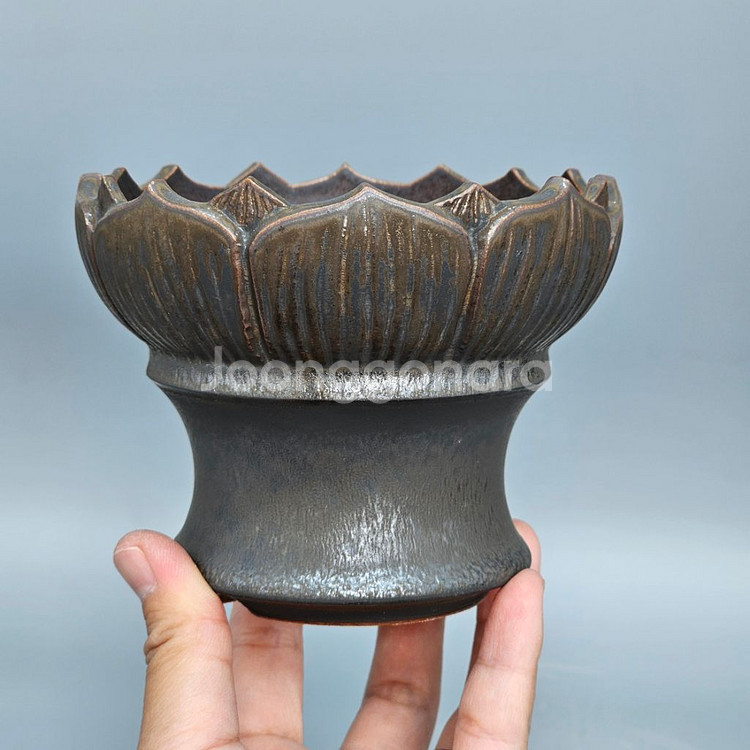 코덱스팟 S(아프리카식물 그락 괴근식물 선인장 화분)--1