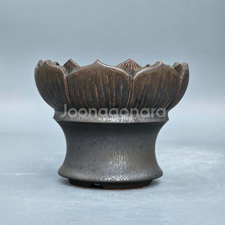 코덱스팟 S(아프리카식물 그락 괴근식물 선인장 화분)--0