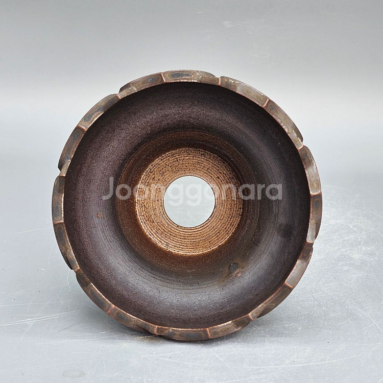 코덱스팟 S(아프리카식물 그락 괴근식물 선인장 화분)--5