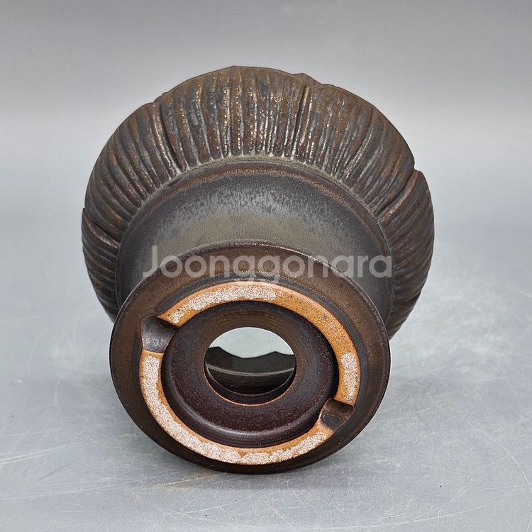 코덱스팟 S(아프리카식물 그락 괴근식물 선인장 화분)--6