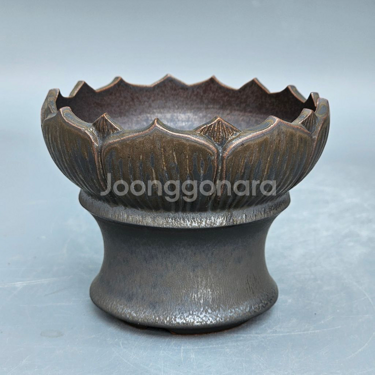 코덱스팟 S(아프리카식물 그락 괴근식물 선인장 화분)--2