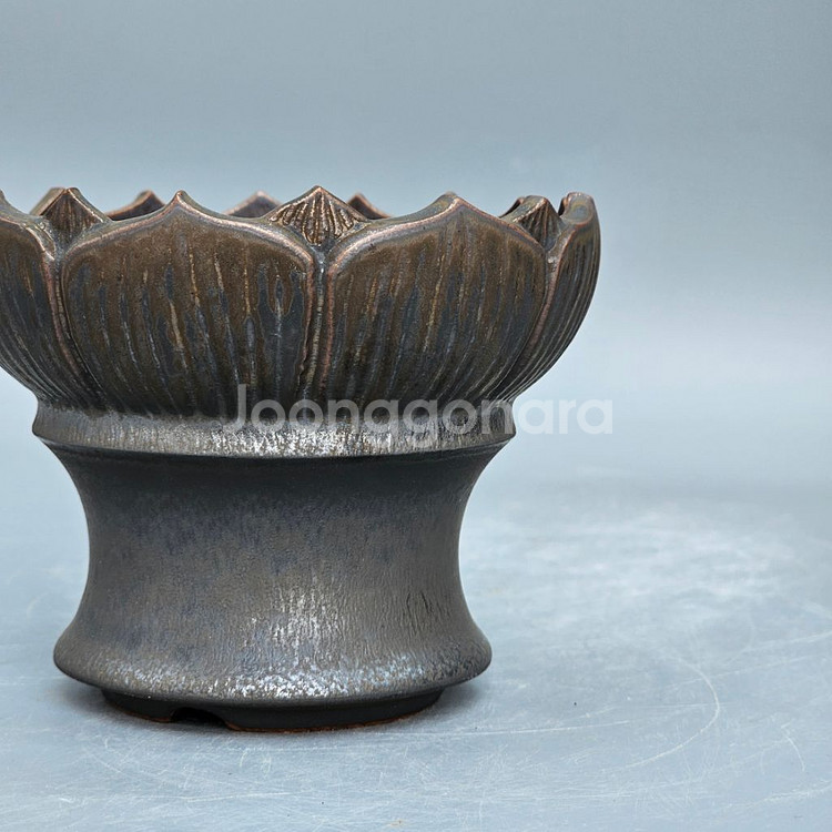 코덱스팟 S(아프리카식물 그락 괴근식물 선인장 화분)--3