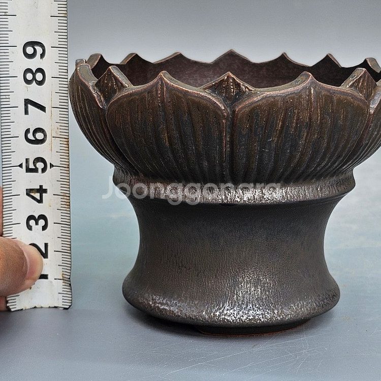 코덱스팟 S(아프리카식물 그락 괴근식물 선인장 화분)--9