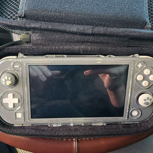 닌텐도 스위치 라이트