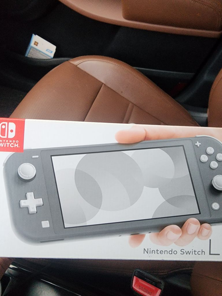 닌텐도 스위치 라이트--2