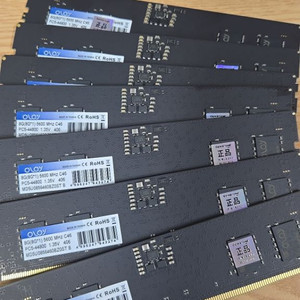 oloy ddr5 5600 8gb 다수