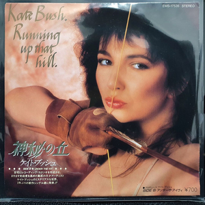 케이트 부쉬 KATE BUSH RUNNING UP...