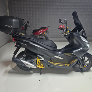 pcx125 2020년식 5,521km