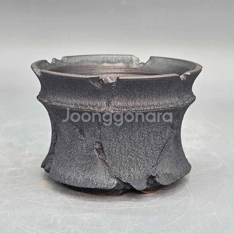 코덱스팟 소(아프리카식물 그락 괴근식물 선인장 화분)--2