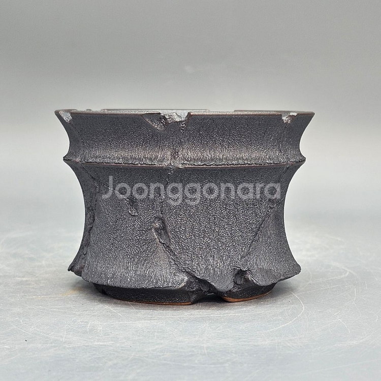 코덱스팟 소(아프리카식물 그락 괴근식물 선인장 화분)--1