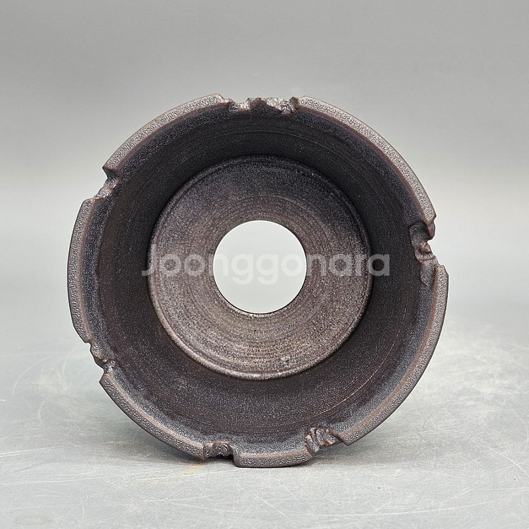 코덱스팟 소(아프리카식물 그락 괴근식물 선인장 화분)--5