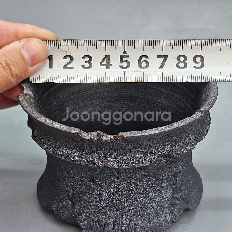 코덱스팟 소(아프리카식물 그락 괴근식물 선인장 화분)--8