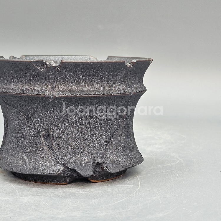 코덱스팟 소(아프리카식물 그락 괴근식물 선인장 화분)--3