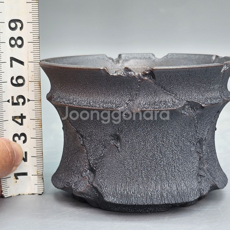 코덱스팟 소(아프리카식물 그락 괴근식물 선인장 화분)--9