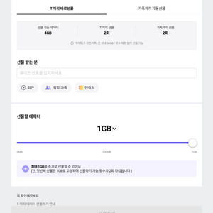 skt데이터 1기가