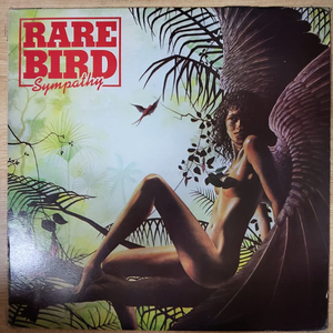 RARE BIRD 음반 (LP 턴테이블 오디오 앰프