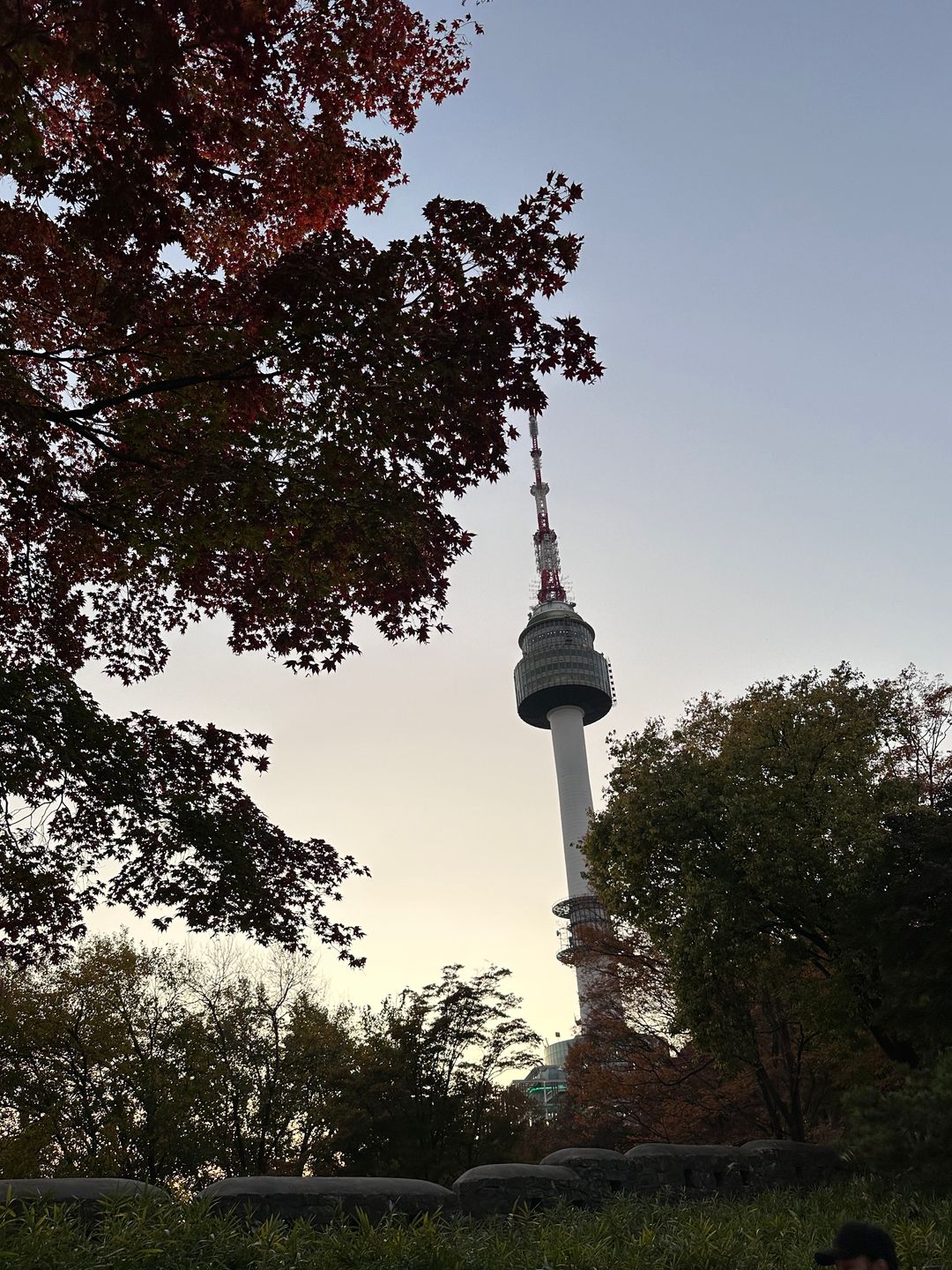 profile-image
