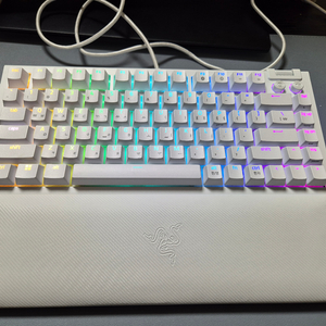 RAZER Blackwidow V4 75% White