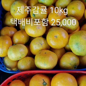 제주감귤10kg 25,000